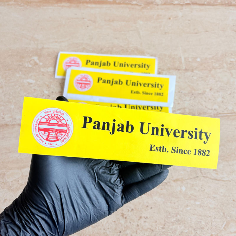 Punjab University